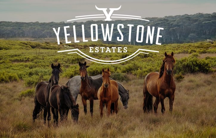 Yellowstone Estates Turn-Key Subdivision